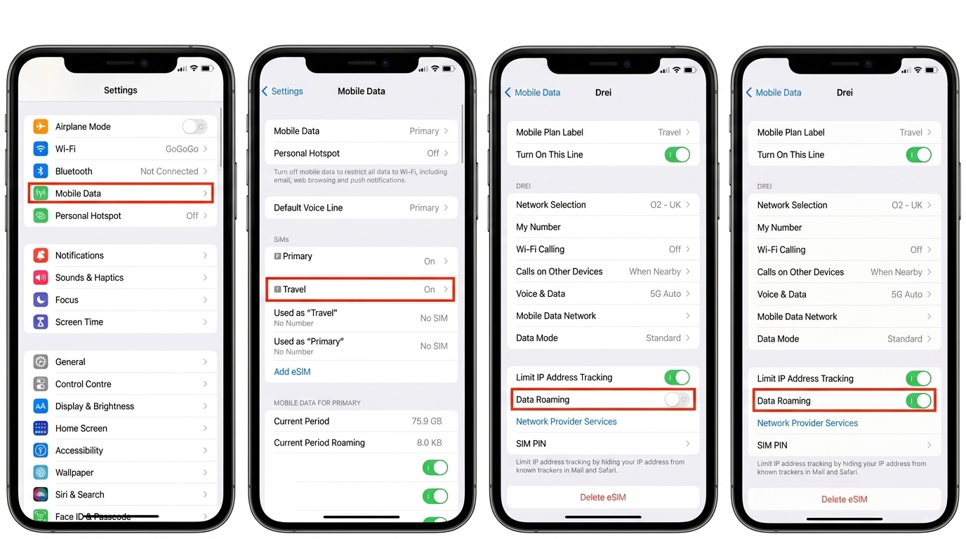 Turn on Data Roaming on iPhone